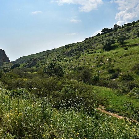 Mul Kinneret Livnim Exteriér fotografie