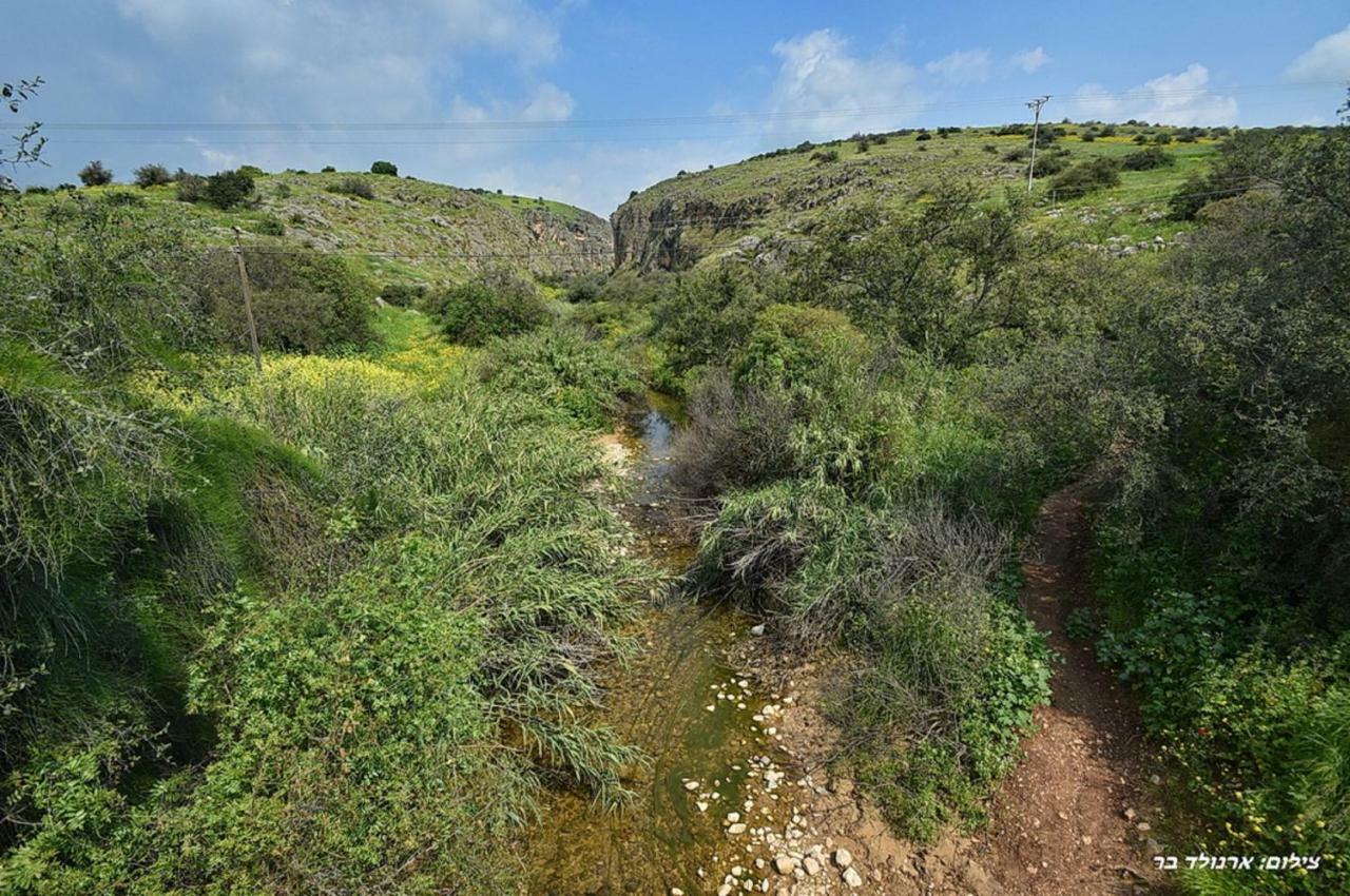 Mul Kinneret Livnim Exteriér fotografie
