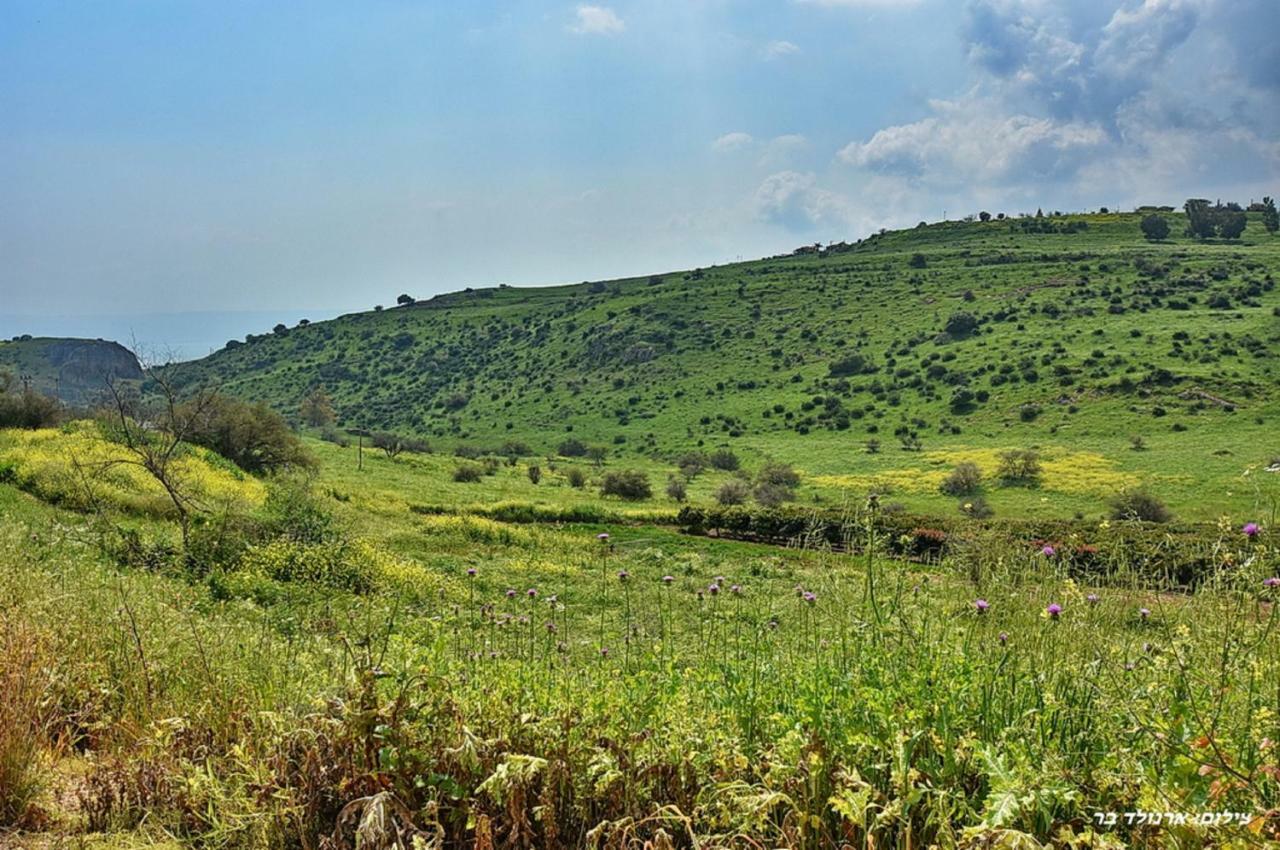 Mul Kinneret Livnim Exteriér fotografie